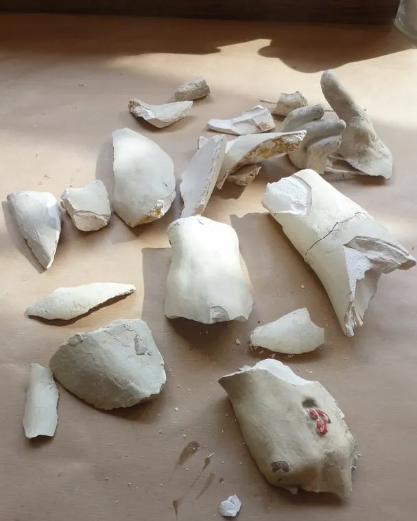 Réintégration du bras du Christ, brisé en vingt-quatre morceaux — Pietà de Michel-Ange, plâtre — Les fragments, avant remontage